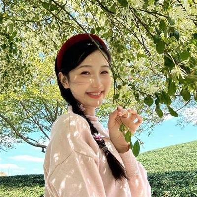 木棉花的春天